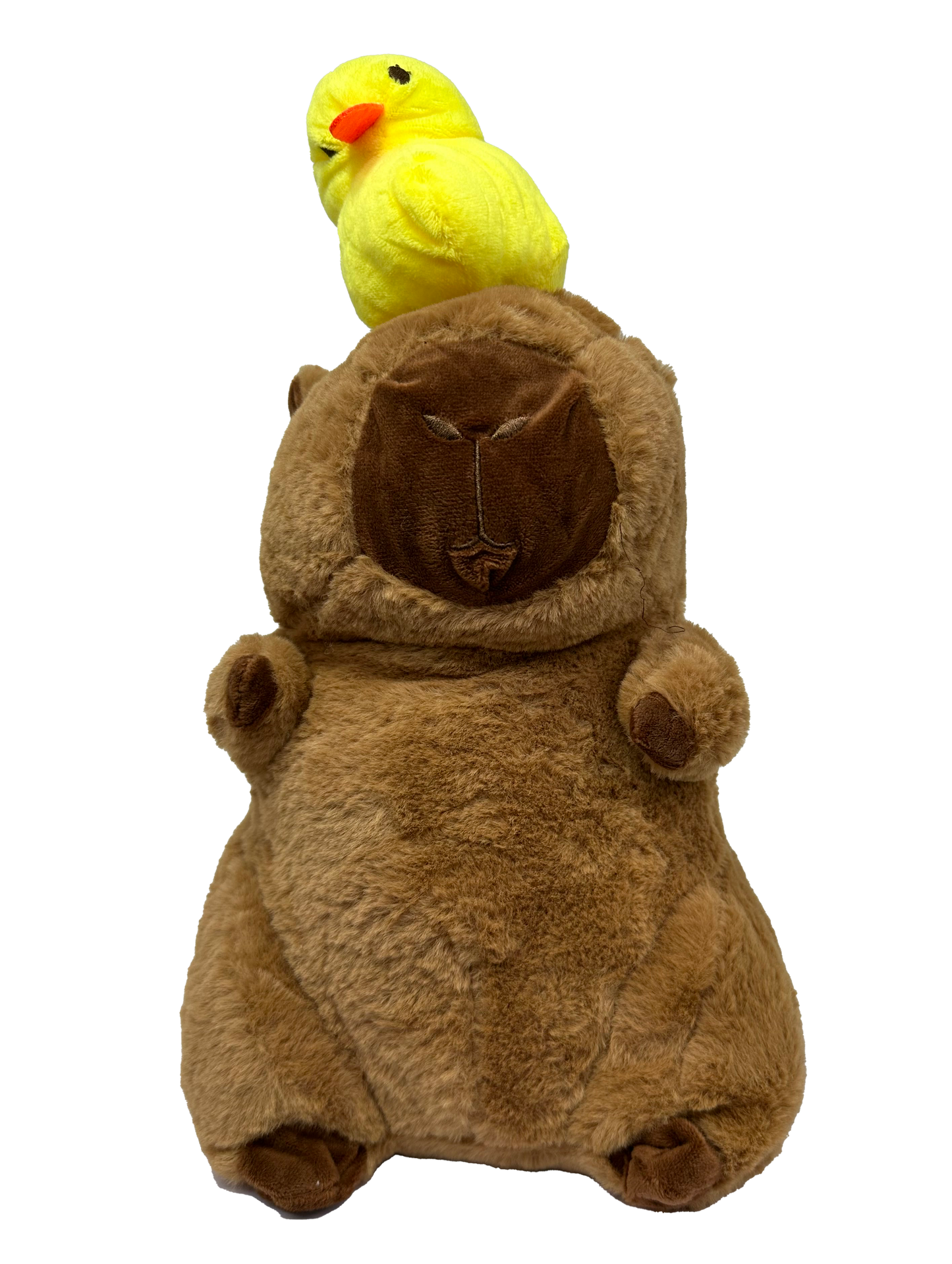 Capybara with a Duck Plush