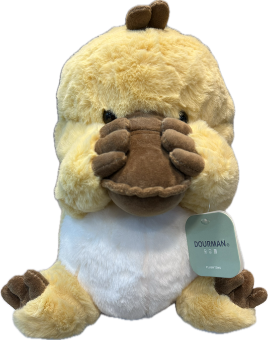 Fluffy Duck Plush